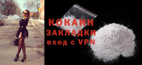 индика Верея