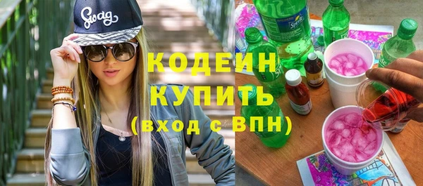 индика Верея