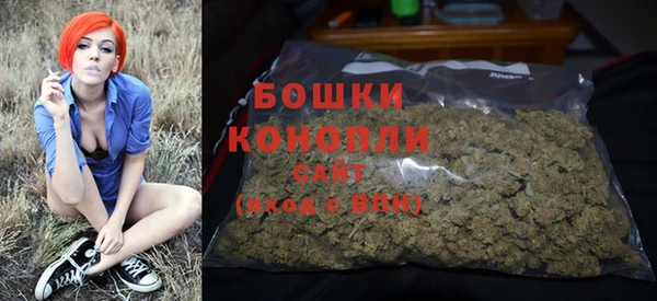 индика Верея
