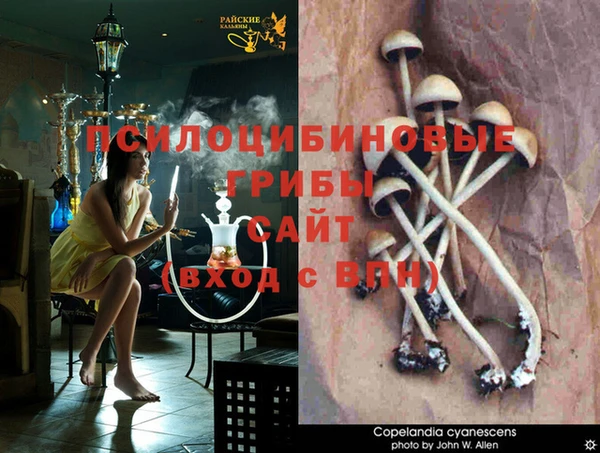 альфа пвп VHQ Верхний Тагил