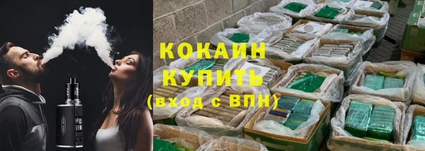 индика Верея
