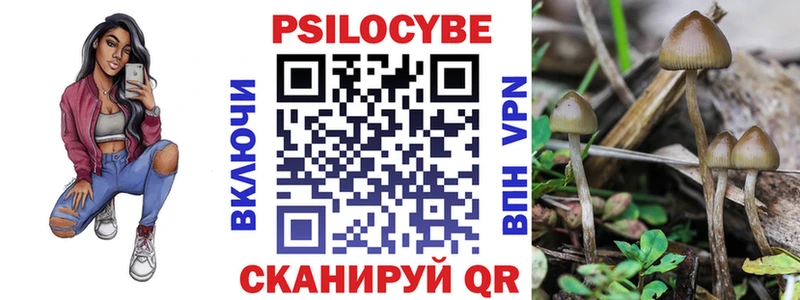 Псилоцибиновые грибы MAGIC MUSHROOMS  Осинники 